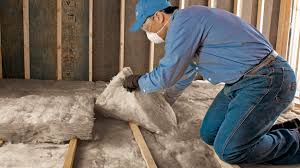 Best Basement Insulation  in Granger, IA